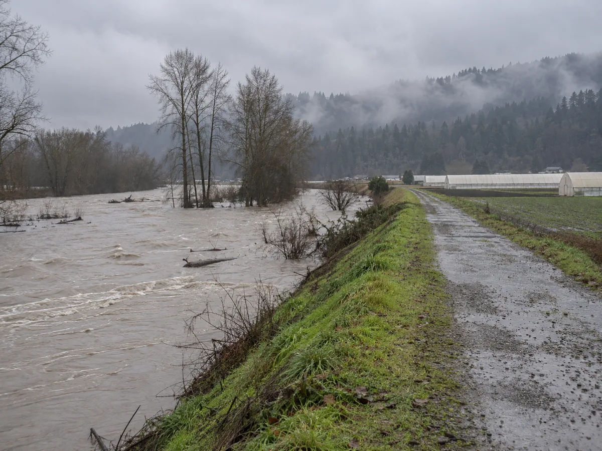 The glacier-fed Puyallup River running high and grey-tan beside a levee and farmland in Puyallup, WA