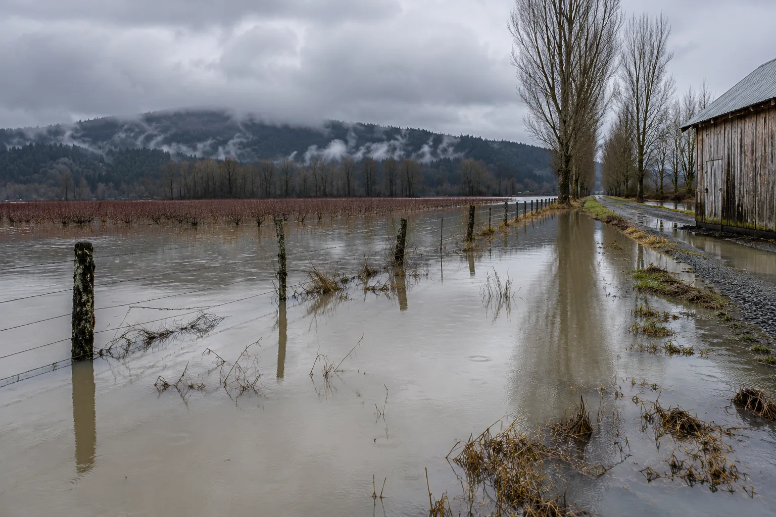 Flooded valley farmland beside the glacier-fed Puyallup River in Puyallup, WA under winter cloud