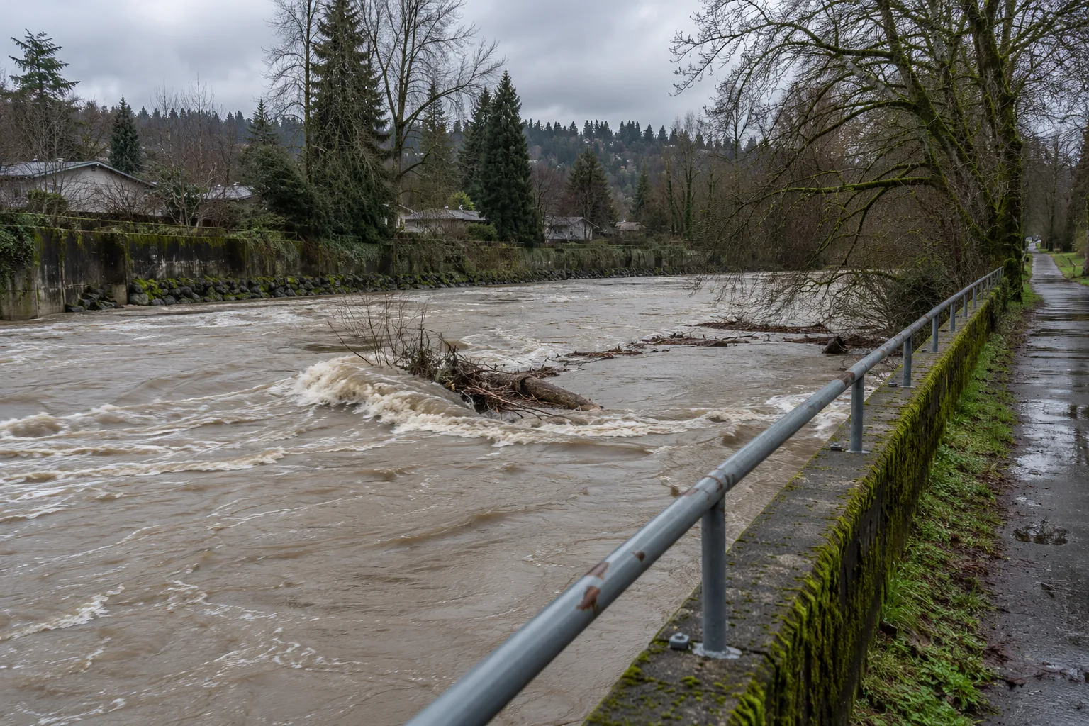 The Cedar River running high between levee walls through Renton, WA on a grey winter day